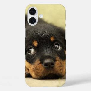 Puppy Phone Case