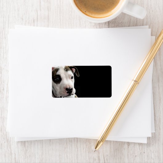 Puppy Pit Bull T-Bone Adressaufkleber (Insitu)