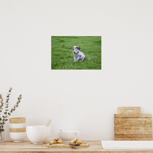 Puppy Pit Bull T-Bone Poster (Küche)