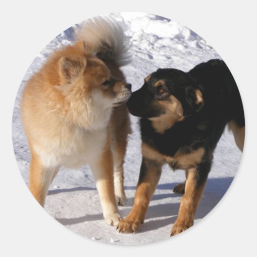 Puppy-Play-Umschlag Aufkleber (Vorderseite)