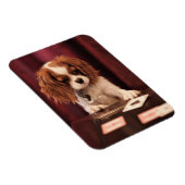 Puppy Plays Cards Magnet (Rechte Seite)