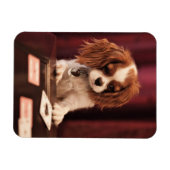 Puppy Plays Cards Magnet (Horizontal)