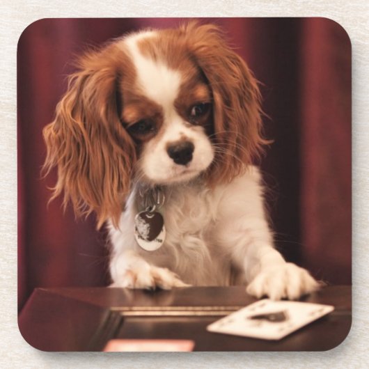 Puppy Plays Cards Untersetzer (Vorderseite)