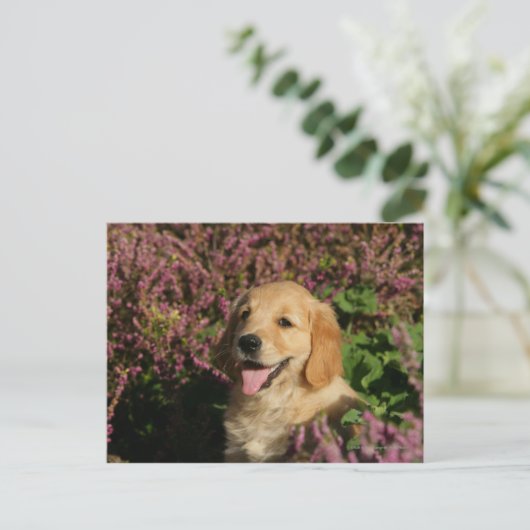 Puppy Postkarte (Stehend Vorderseite)