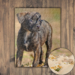 Puppy-Profil-Portrait Puzzle