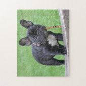 Puppy Puzzle (Vertikal)