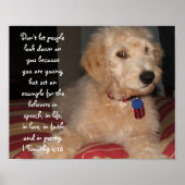 Puppy Sam Poster (Vorne)