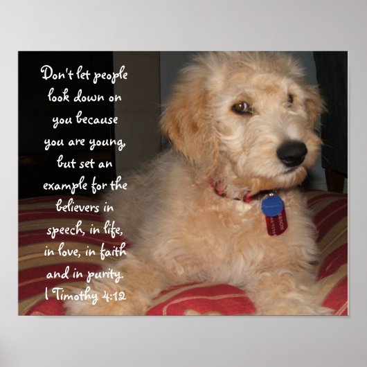 Puppy Sam Poster (Vorne)