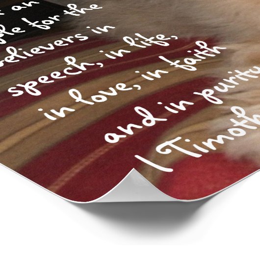 Puppy Sam Poster (Ecke)