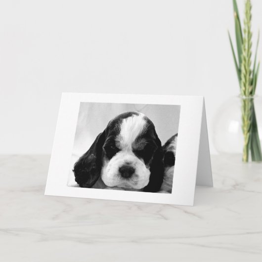 PUPPY SAYS "SAY IT ISN'T SO" 30th BIRTHDAY Karte (Vorderseite)