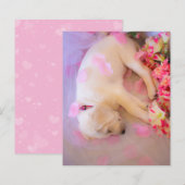 Puppy Sleepy Veil 01 (Vorne/Hinten)