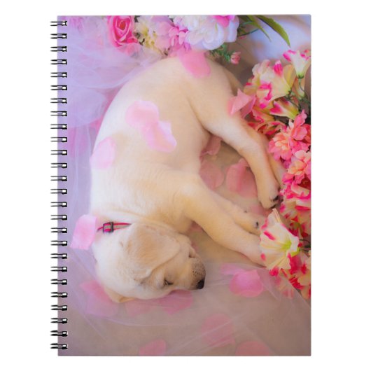 Puppy Sleepy Veil 01 Notizblock (Vorderseite)