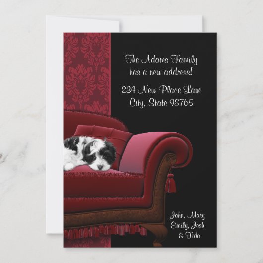 Puppy Sofa Änderung der Adresse Postkarten (Vorderseite)