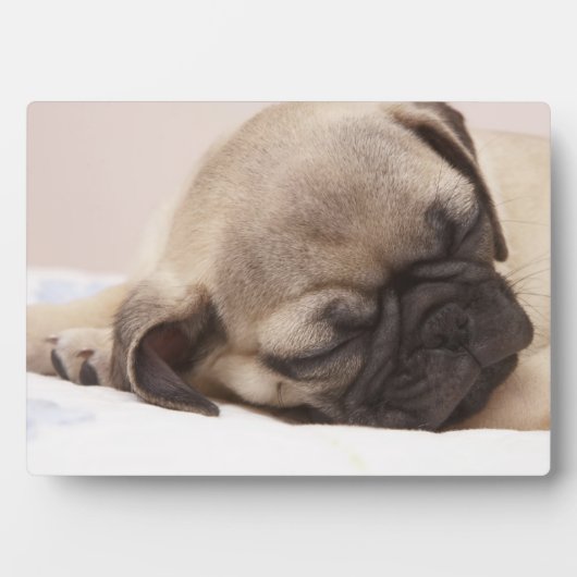 Puppy Soundly Sleeping Fotoplatte (Vorderseite)