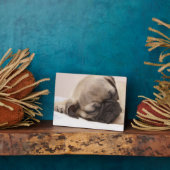 Puppy Soundly Sleeping Fotoplatte (Seite)