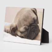 Puppy Soundly Sleeping Fotoplatte (Seite)
