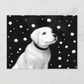 Puppy & Stars in Schwarz & Weiß Postkarte (Vorderseite)