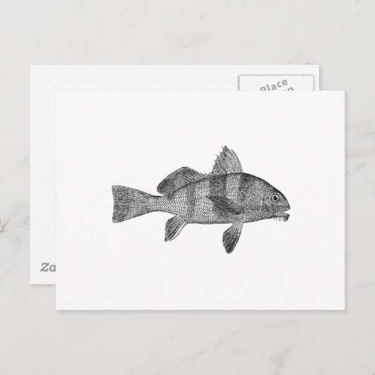 Puppy-Trommellogo (Line Art) Postkarte (Vorne/Hinten)