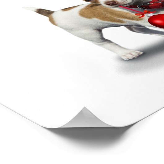 Puppy with christmas hat and Ball Poster (Ecke)