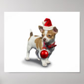 Puppy with christmas hat and Ball Poster (Vorne)