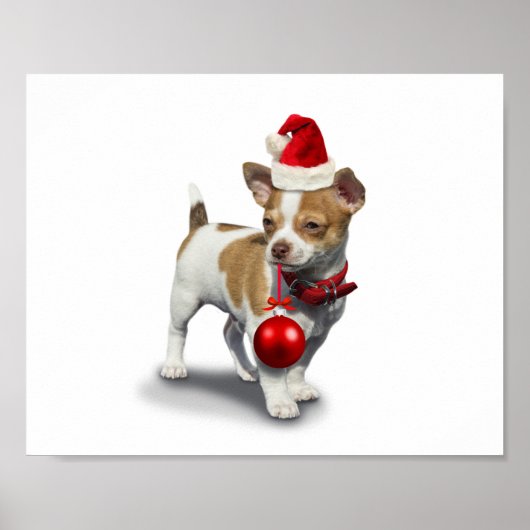 Puppy with christmas hat and Ball Poster (Vorne)