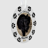 Puppy's First Christmas Paw Print Dog Foto Ornament (Vorderseite)