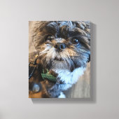 Puppy's First Turkey Day Canvas Print Leinwanddruck (Vorderseite)