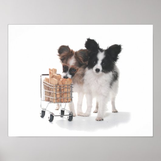PUPS MIT KARTE POSTER (Vorne)