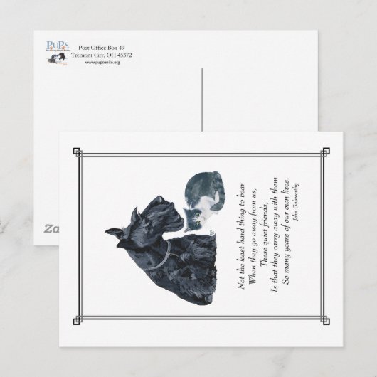 PUPS-Mitleidskarte Postkarte (Vorne/Hinten)