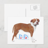 PUPs Retcued Pit Bull Postkarte (Vorne/Hinten)