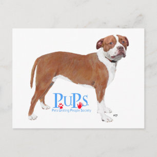 PUPs rettet Pit Bull Postkarte