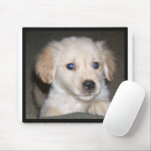 Pupy Augen Mousepad (Mit Mouse)