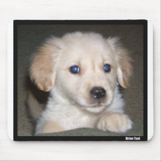 Pupy Augen Mousepad