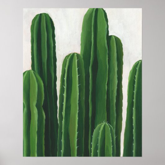 Pura Vida - Cacti-Gruppe Poster (Vorne)