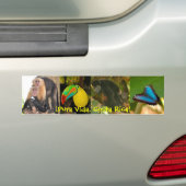 Pura Vida Costa Rica Autoaufkleber (Auf Auto)