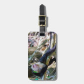 Pura vida für den weißen Kapuzineraffen Gepäckanhänger (Vorderseite vertikal)