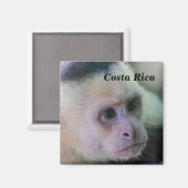 Pura vida für den weißen Kapuzineraffen Magnet (Vorderseite/Rückseite)