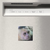 Pura vida für den weißen Kapuzineraffen Magnet (In Situ (Geschirrspüler))