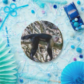 Pura vida für den weißen Kapuzineraffen Pappteller (Party)