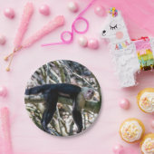 Pura vida für den weißen Kapuzineraffen Pappteller (Party)