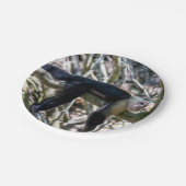 Pura vida für den weißen Kapuzineraffen Pappteller (Schrägansicht)