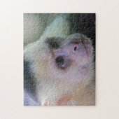 Pura vida für den weißen Kapuzineraffen Puzzle (Vertikal)