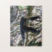 Pura vida für den weißen Kapuzineraffen Puzzle (Vertikal)