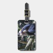 Pura vida für Kapuzineraffe Gepäckanhänger (Vorderseite vertikal)