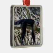 Pura vida für Kapuzineraffe Ornament Aus Metall (Rechts)