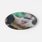 Pura vida für Kapuzineraffe Pappteller (Schrägansicht)