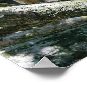 Pura vida für Kapuzineraffe Poster (Ecke)