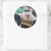 Pura vida für Kapuzineraffe Runder Aufkleber (Tasche)