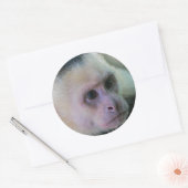 Pura vida für Kapuzineraffe Runder Aufkleber (Umschlag)