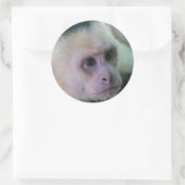 Pura vida für Kapuzineraffe Runder Aufkleber (Tasche)